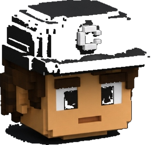 CarterPC Voxel Head